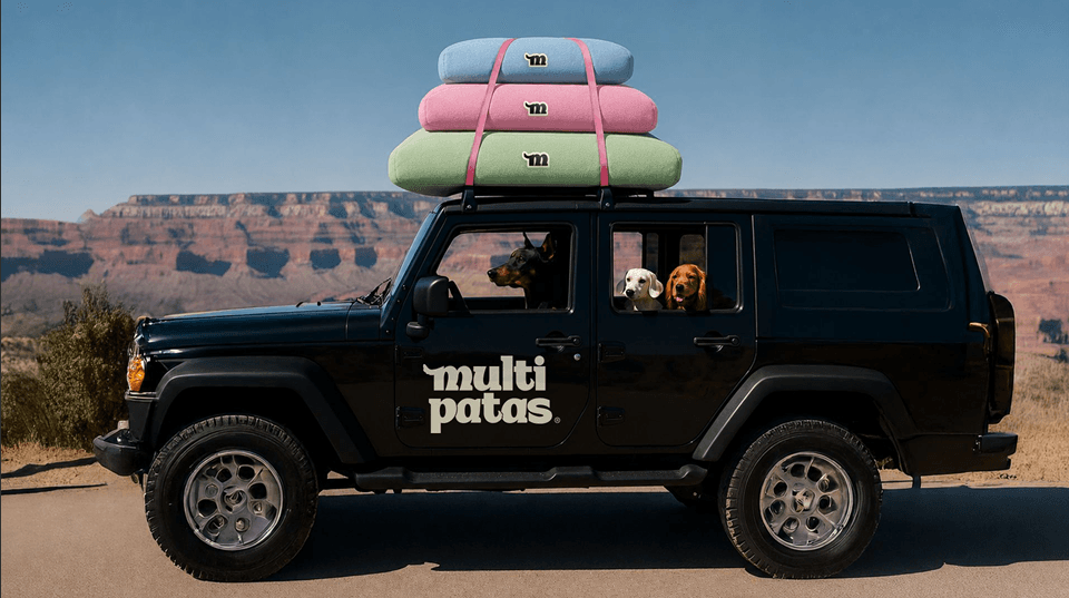 Jipe Multipatas em trilha com pets a bordo